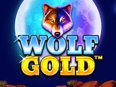 Wolf Gold Slot Review 2026: Pragmatic Play Classic, 96.01% RTP, 2,500× Max